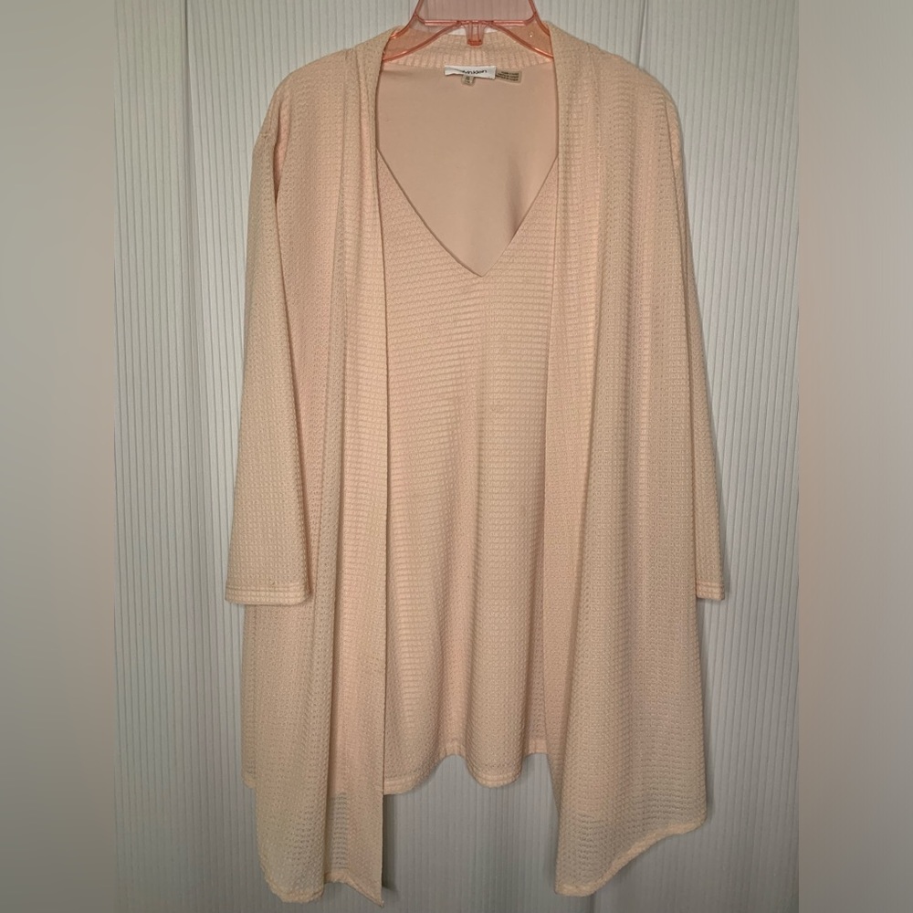 Calvin Klein Peach Blouse with Fooler V Neck 3/4 Sleeve Lined Size 1X